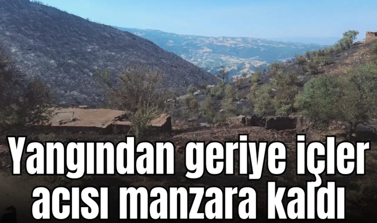 Yangından geriye içler acısı manzara kaldı