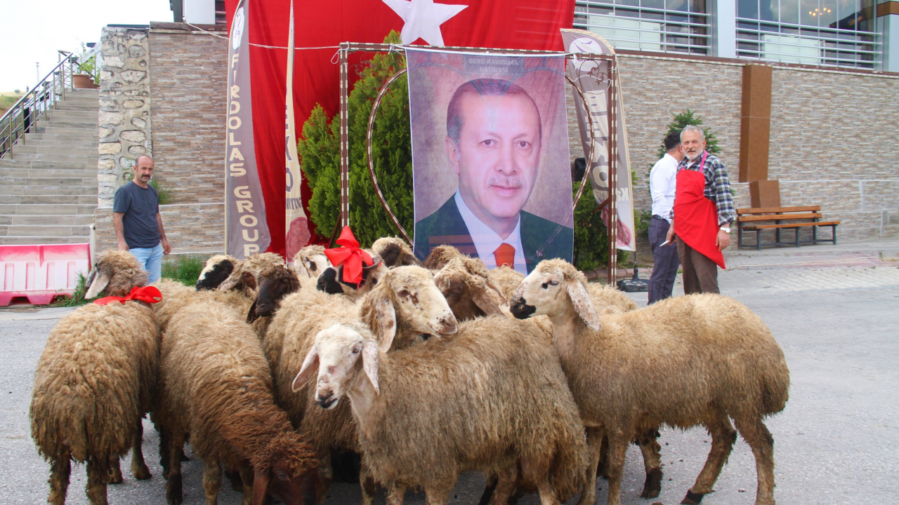 CUMHURBAŞKANI İÇİN 20 ADAK KURBANI KESTİ