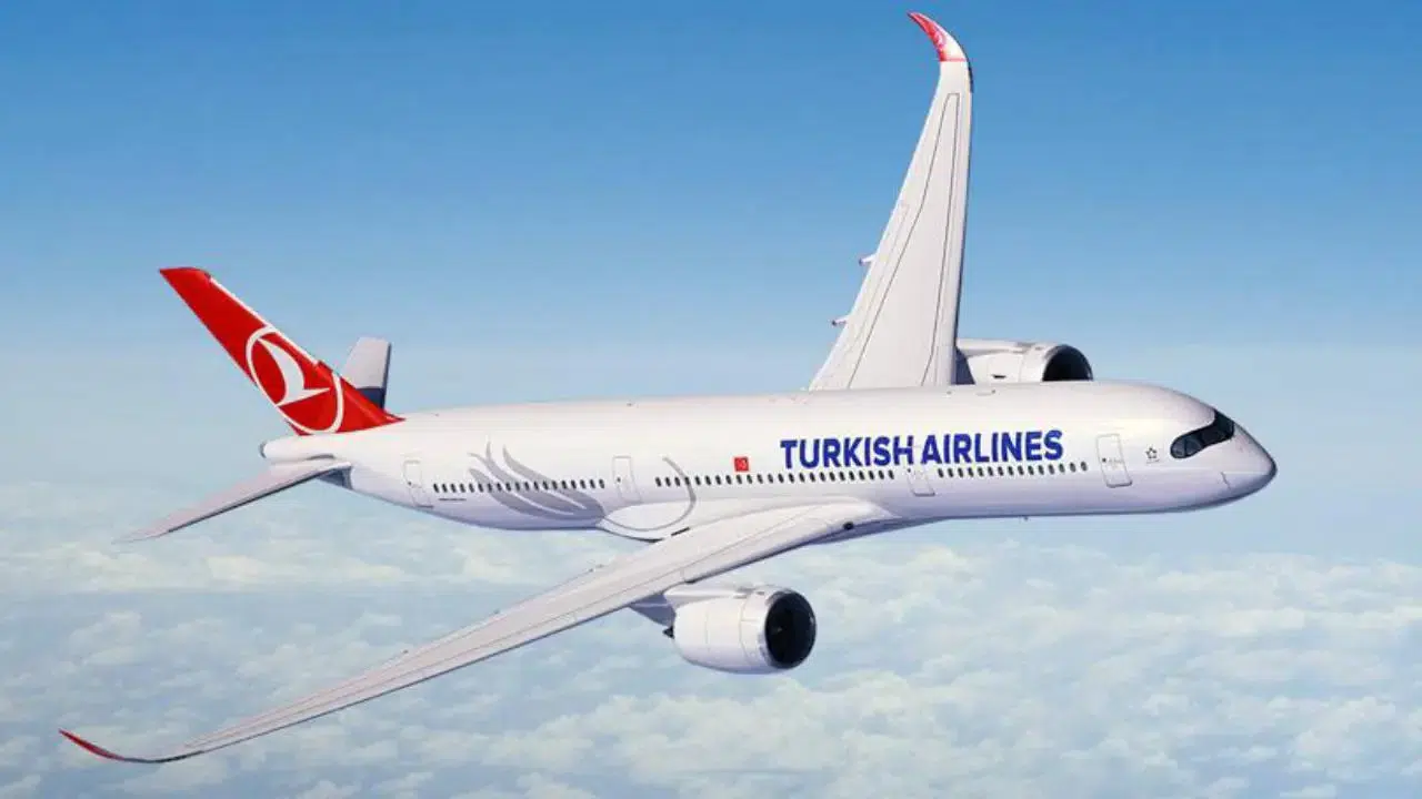 THY’den 30 Ağustos’a Özel Kampanya! Yurt içi uçuşlar 1.030 TL’den başlıyor