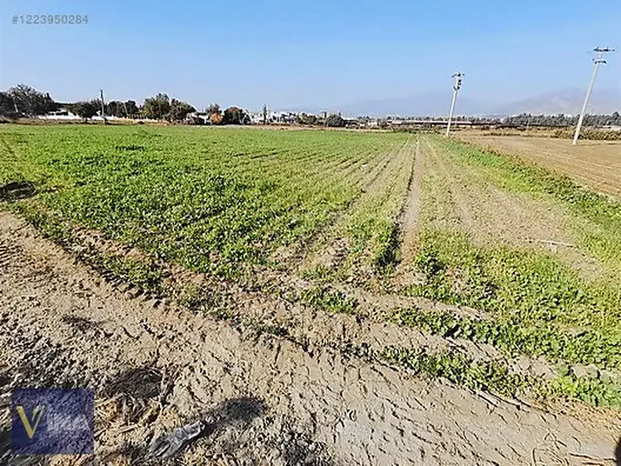 Devletten Kiralık Tarla Dönemi Başladı: Başvuru Şartları ve Detaylar Açıklandı
