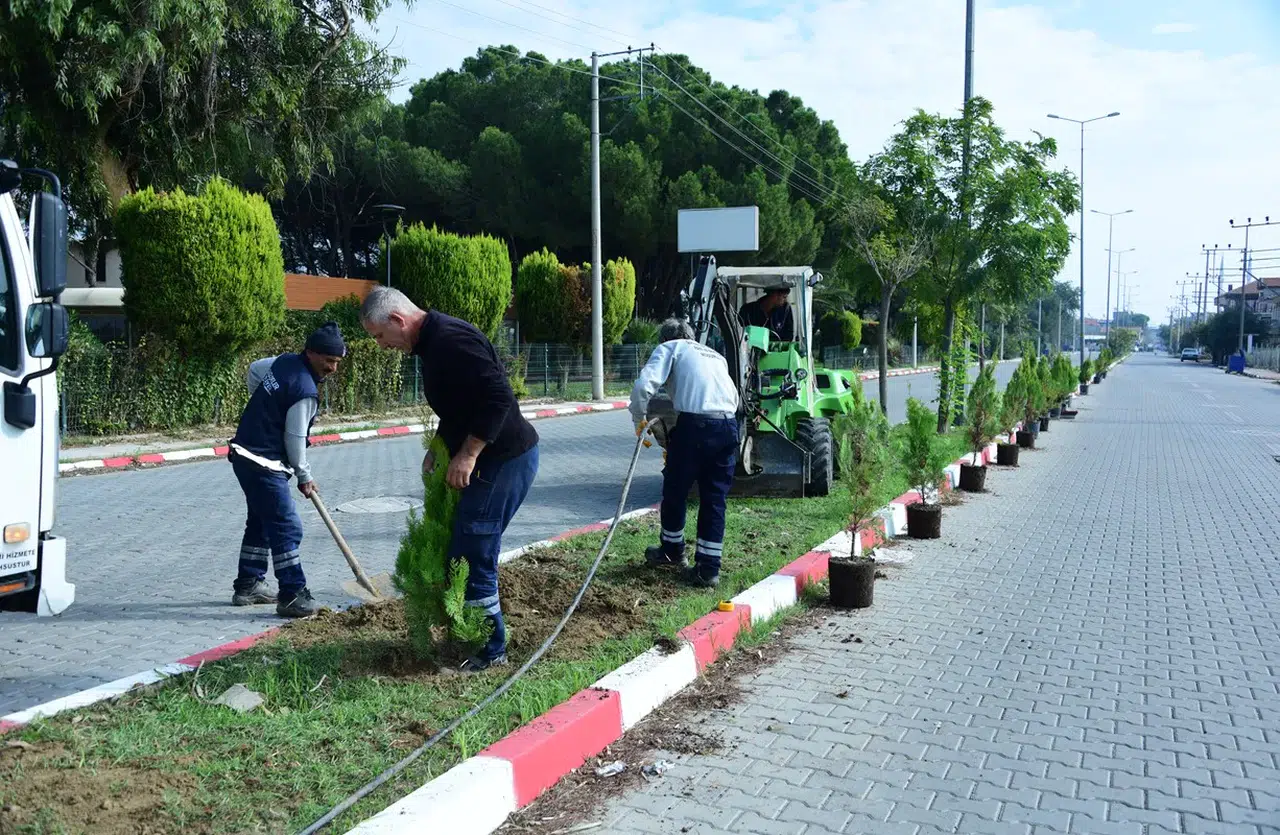 Manisa'nın o ilçesi yeşile doyacak