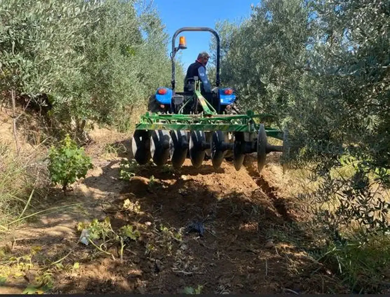 Çiftçiler yağmura sevindi