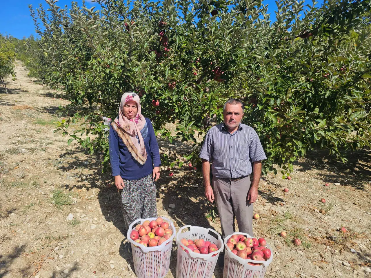 Doğal ürünleri birlikte üretiyor, pazarda birlikte satıyorlar