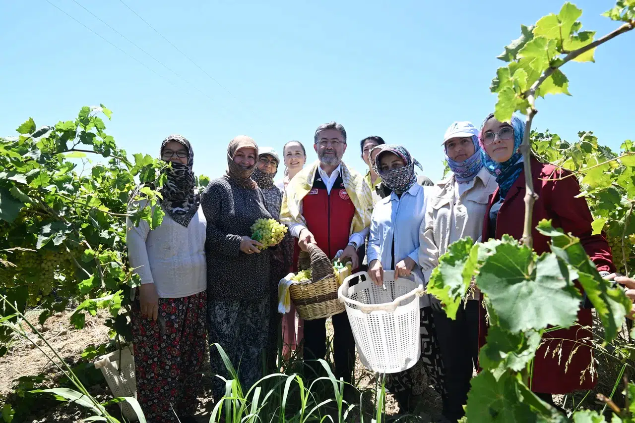 Kadınlar üretimin her alanında ama sosyal güvenceleri yok