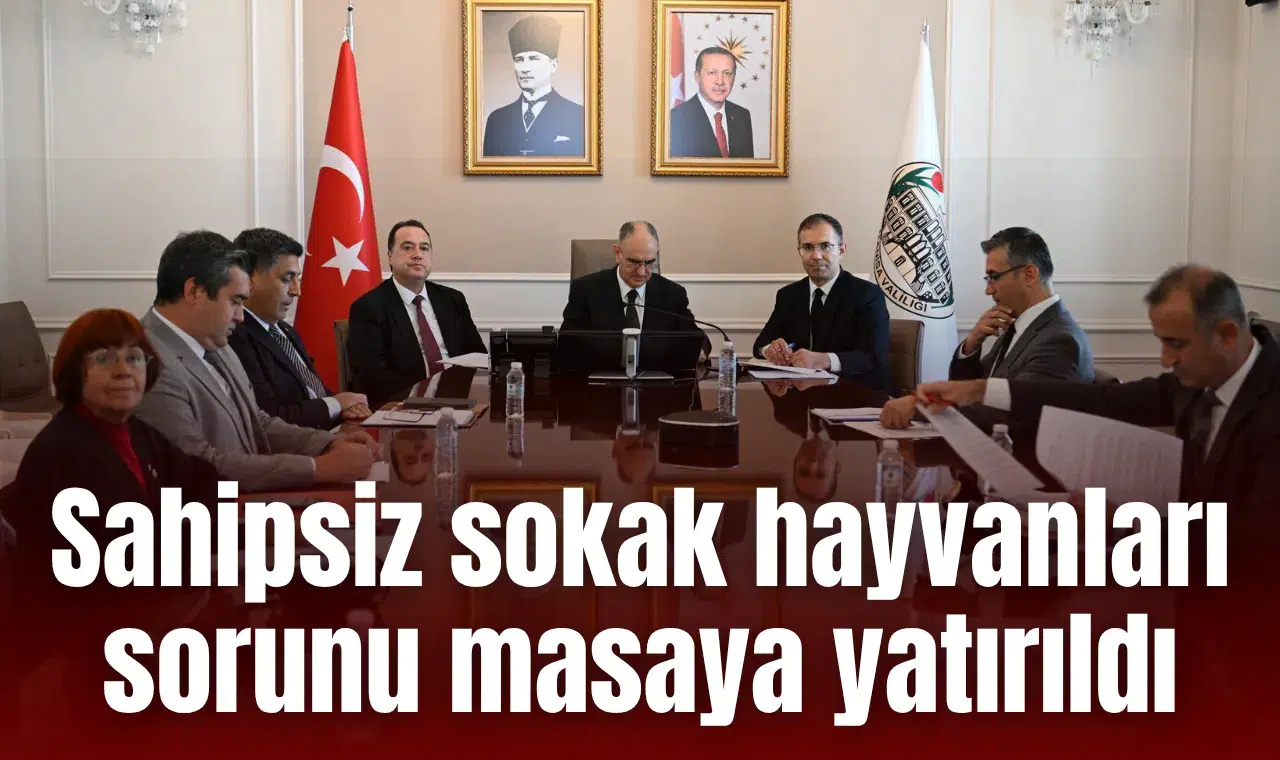 Sahipsiz sokak hayvanları sorunu masaya yatırıldı