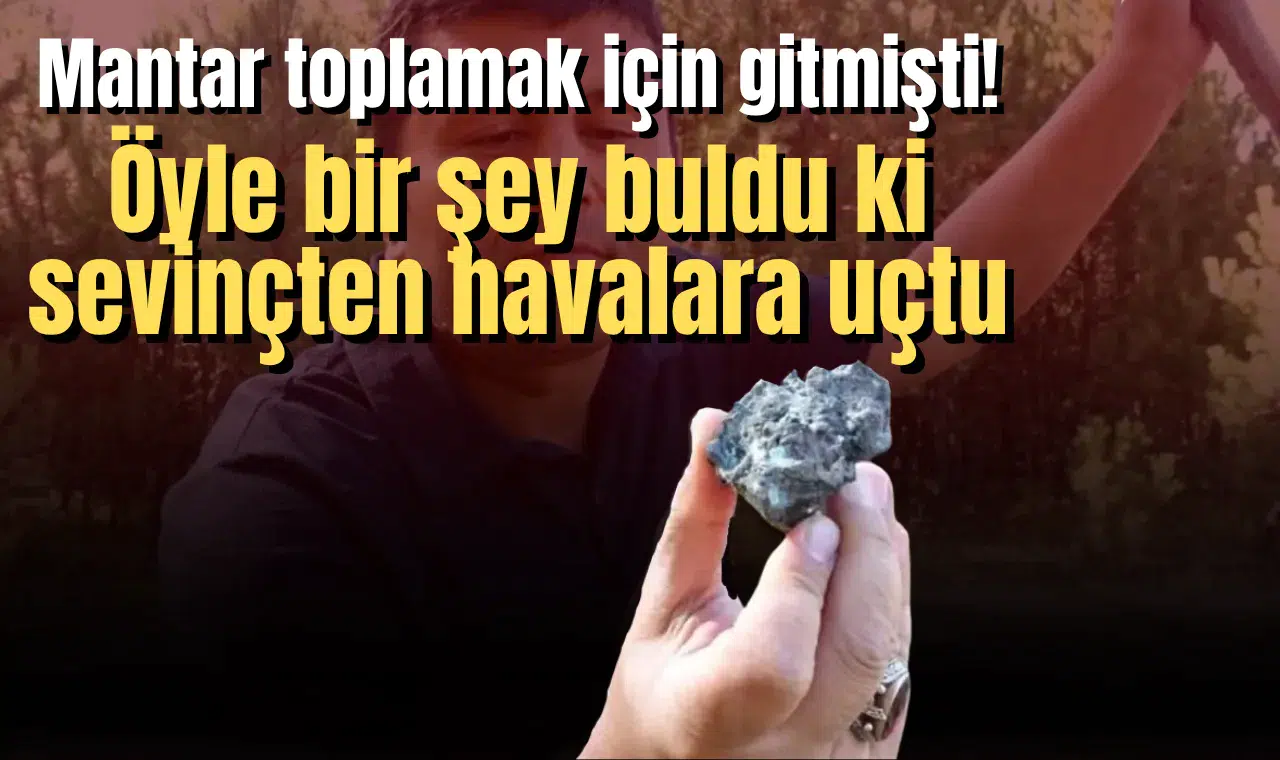 Mantar toplamak için gitmişti! Öyle bir şey buldu ki sevinçten havalara uçtu