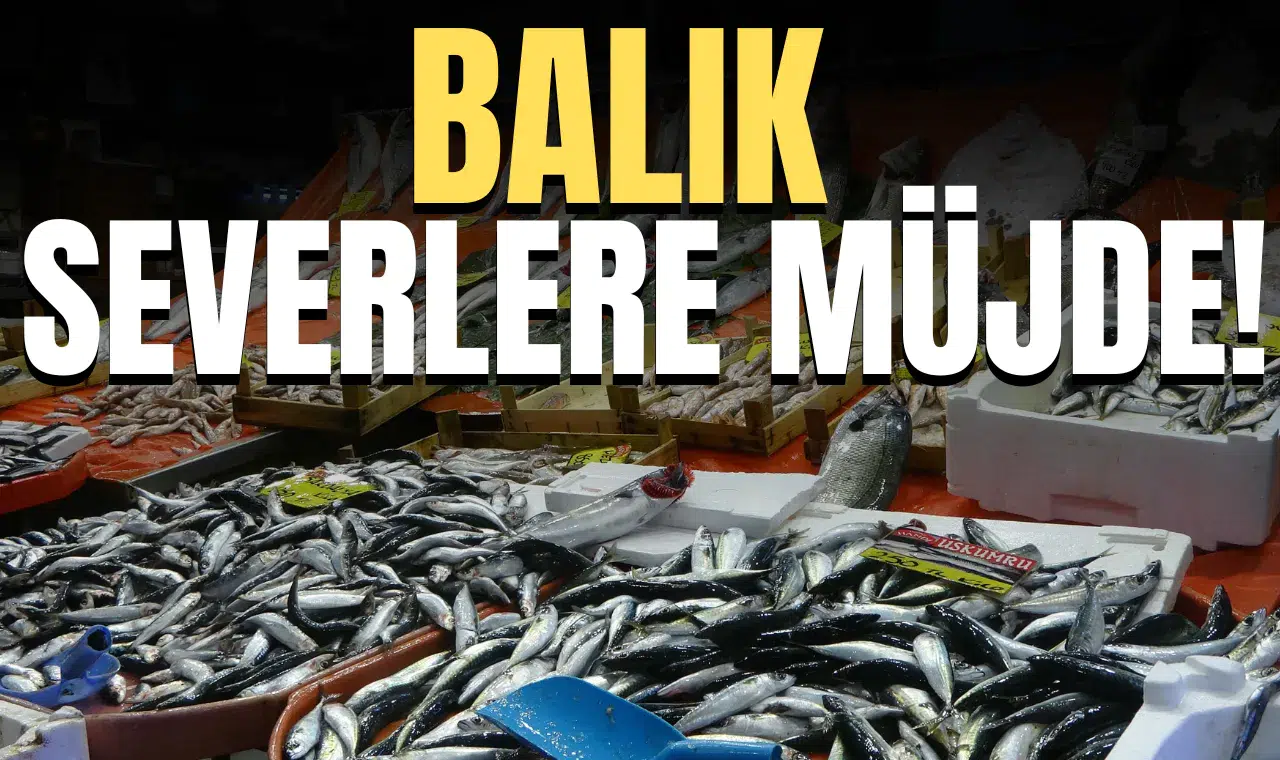 Balık severlere müjde!