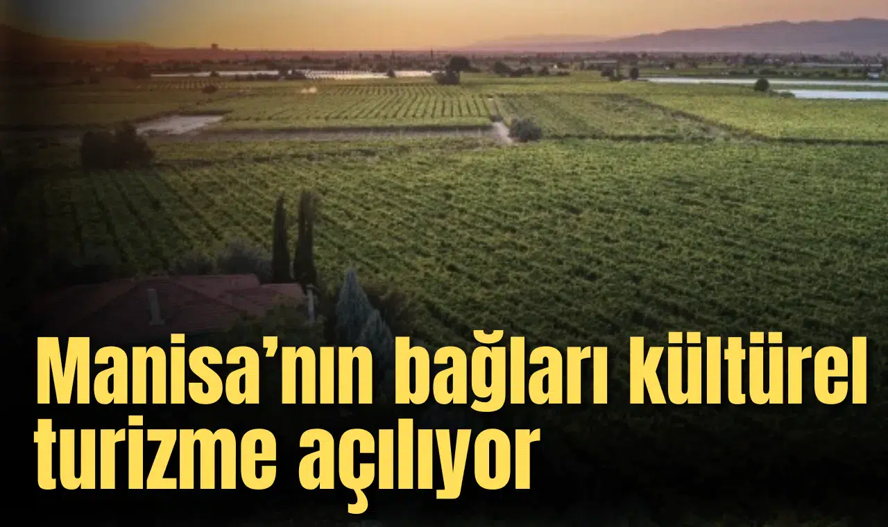Manisa’nın bağları kültürel turizme açılıyor