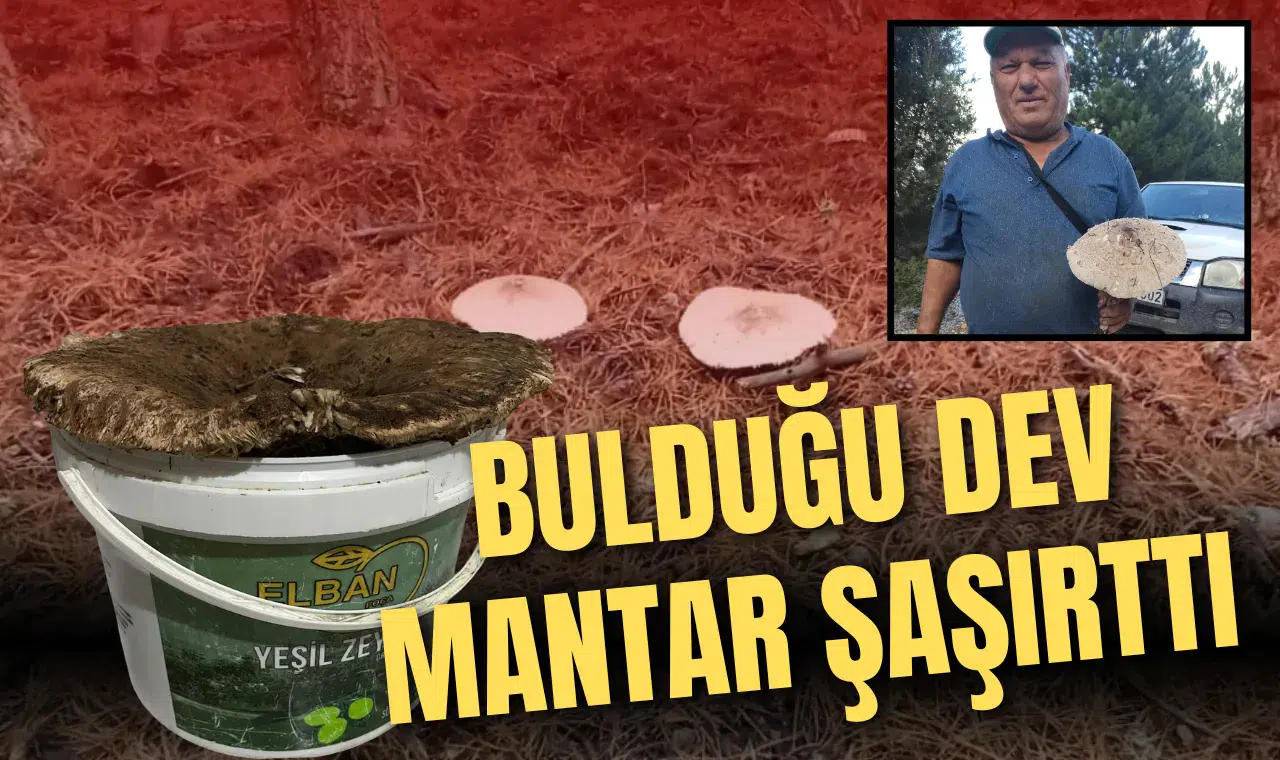 DEV MANTAR KARŞISINDA ŞOK OLDU