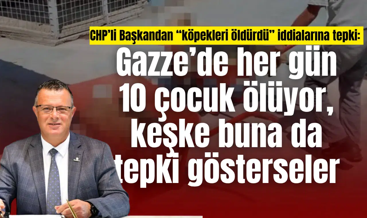 CHP’li Başkandan “köpekleri öldürdü” iddialarına tepki:  Gazze’de her gün 10 çocuk ölüyor, keşke buna da tepki gösterseler