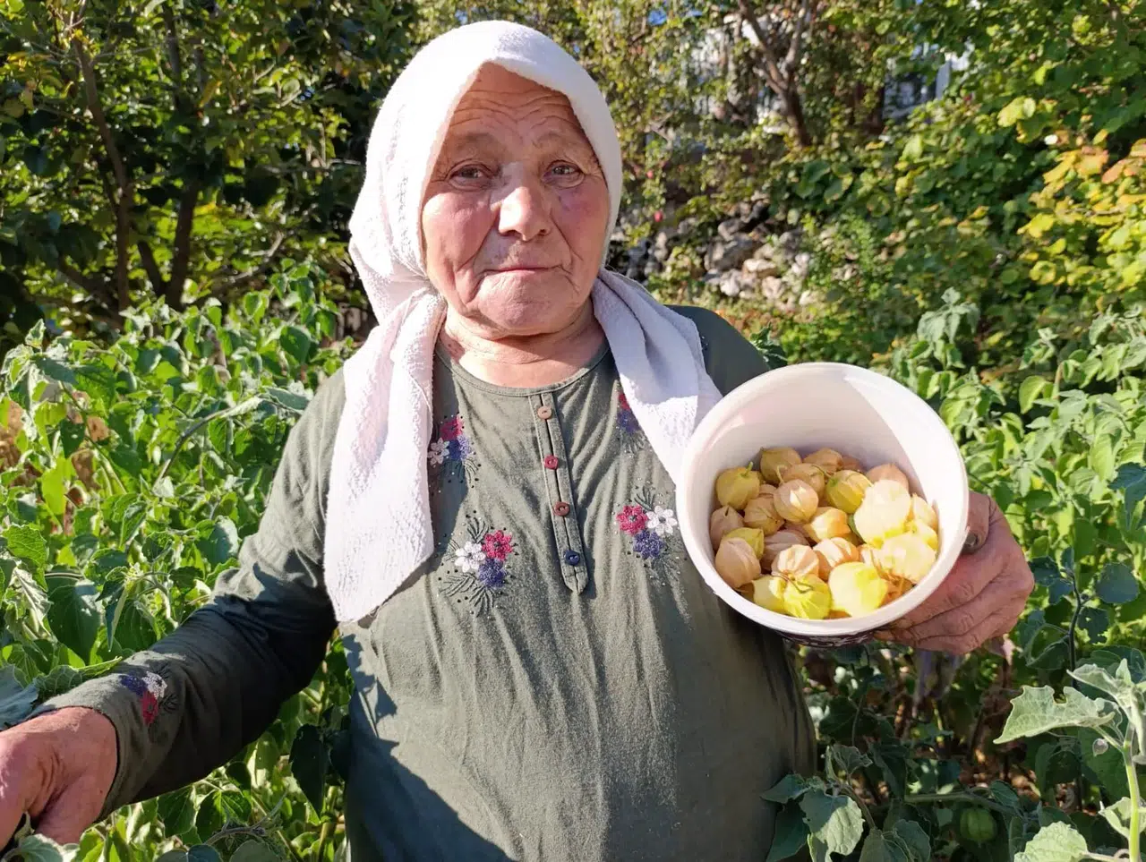 Altın Çilek bereketi pazar tezgahına yansıdı