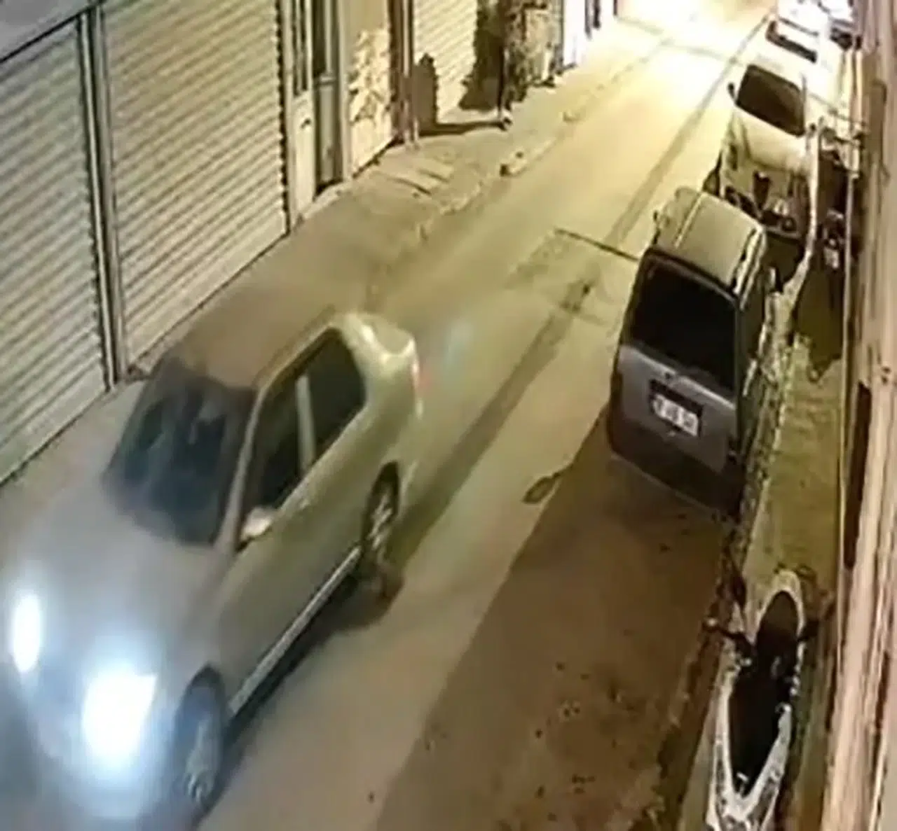 Böyle canilik olmaz! Nesli tükenmekte olan hayvana bakın ne yaptı
