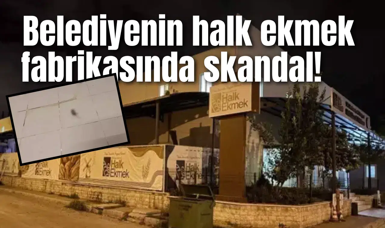 Belediyenin halk ekmek fabrikasında skandal!