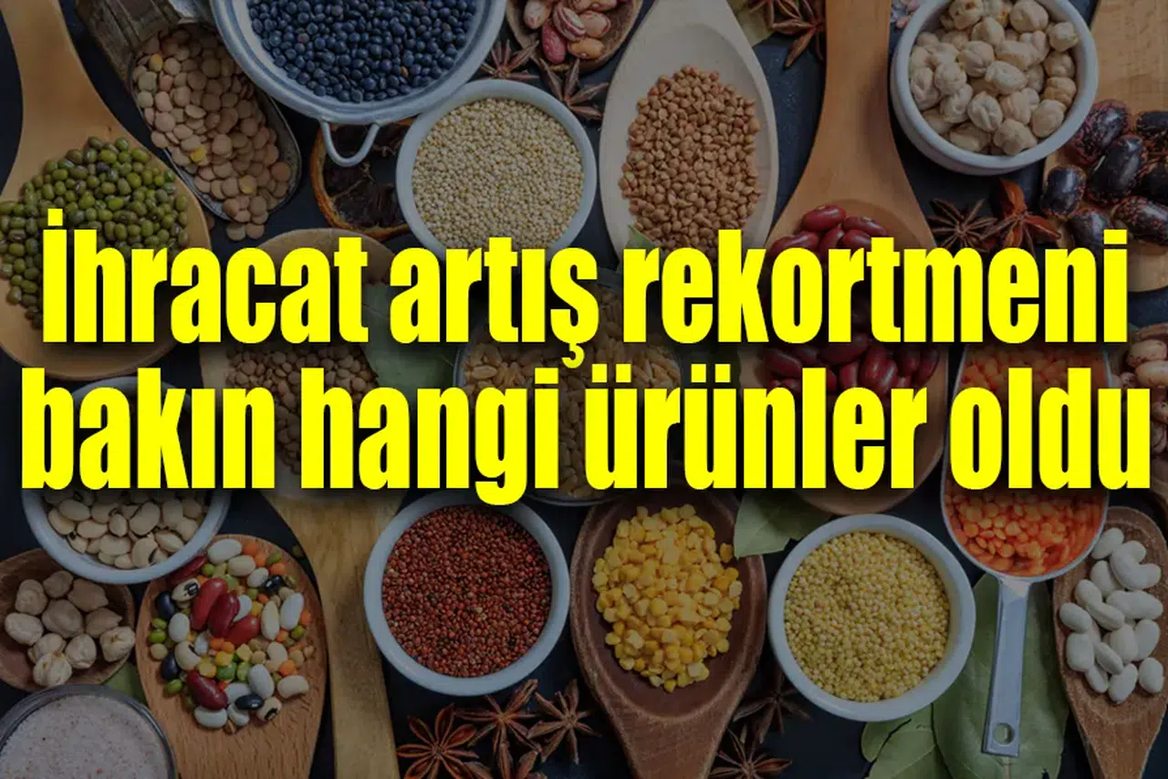 İhracat artış rekortmeni bakın hangi ürünler oldu