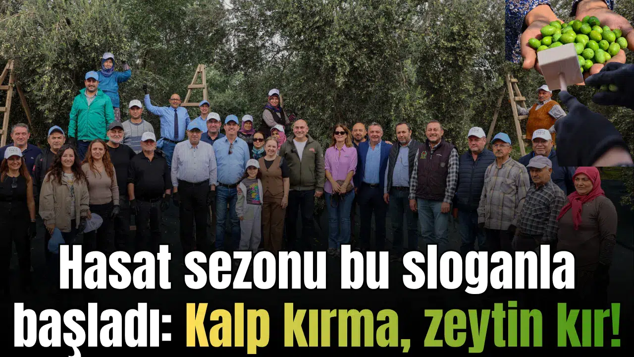 Hasat sezonu bu sloganla başladı: Kalp kırma, zeytin kır!