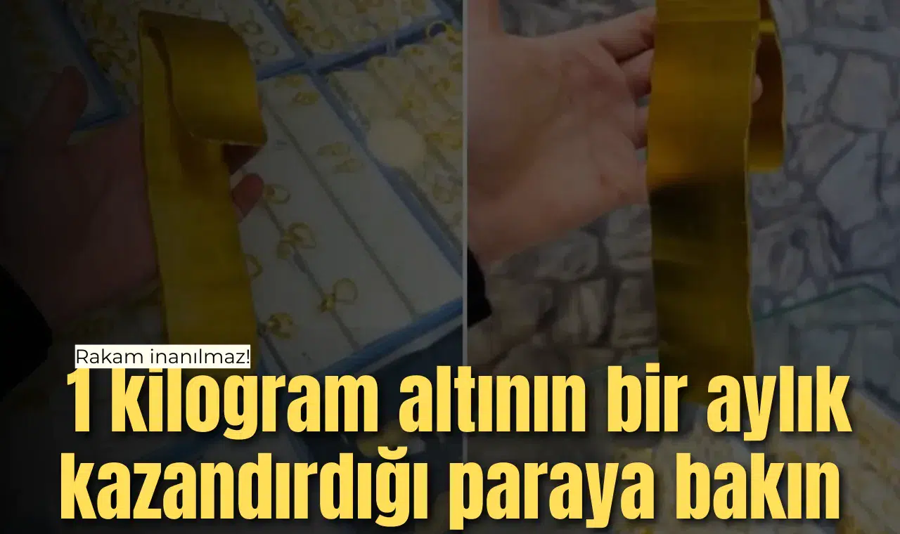 Rakam inanılmaz! 1 kilogram altının bir aylık kazandırdığı paraya bakın