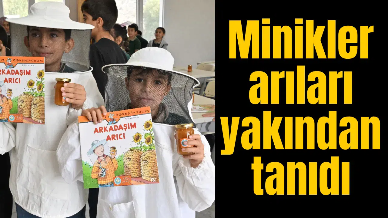 Minikler arıları yakından tanıdı