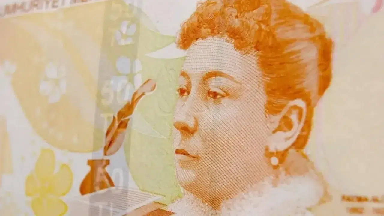 50 TL’nin Arkasında Kim Var? Fatma Aliye Kimdir?
