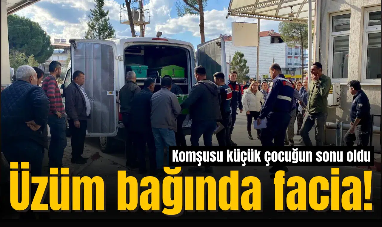 Üzüm bağında facia! Komşusu küçük çocuğun sonu oldu