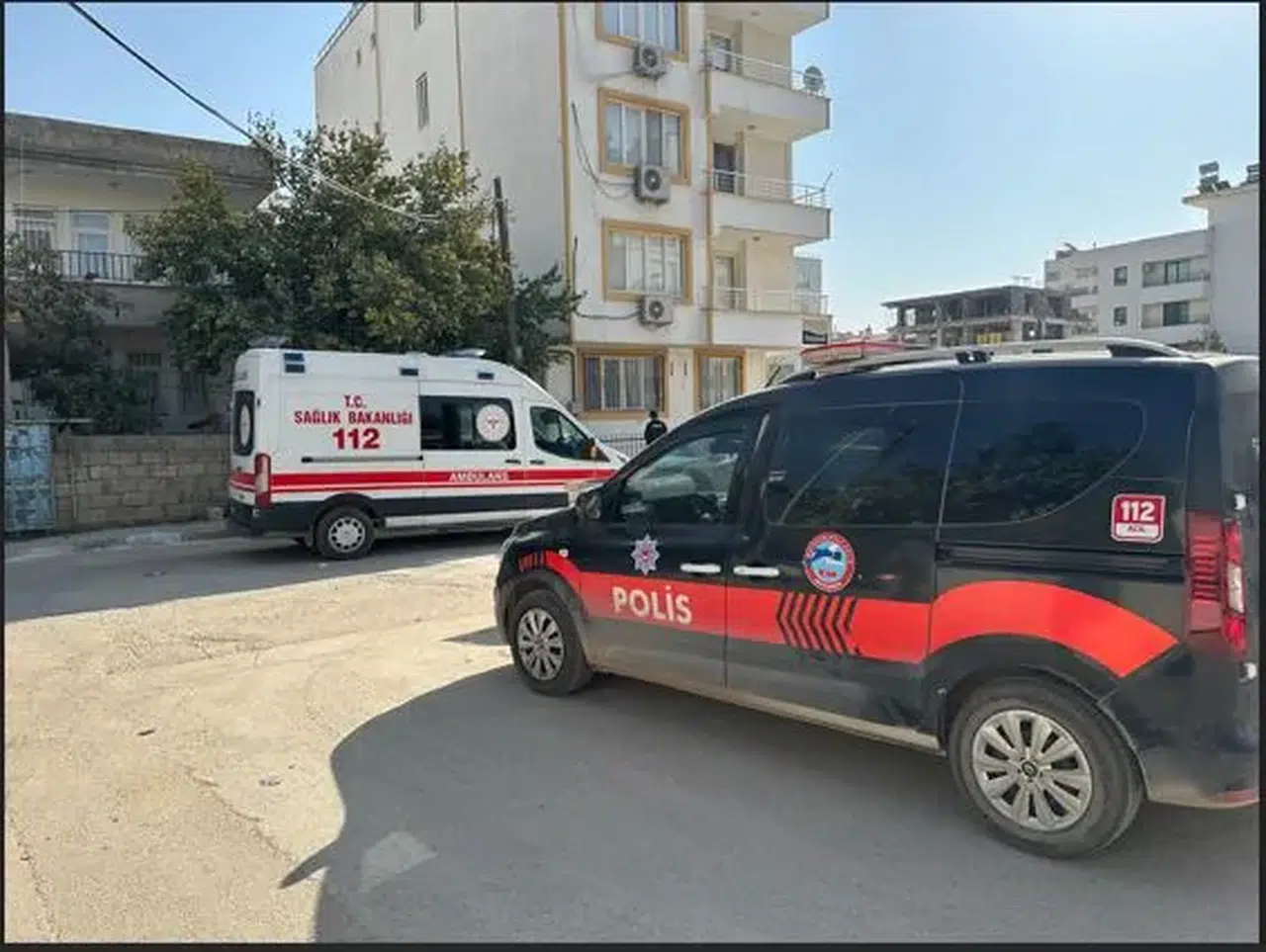 Yaşlı kadın evinde ölü bulundu