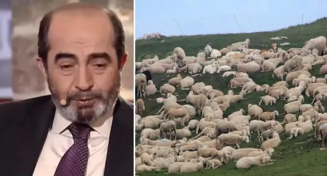 Şehit mezarının yeri, koyun sürüsünün garip davranışıyla fark edildi: O alanı kazınca...