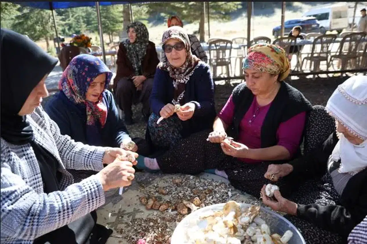 Değeri bilinmiyordu, Japonların gözdesi oldu