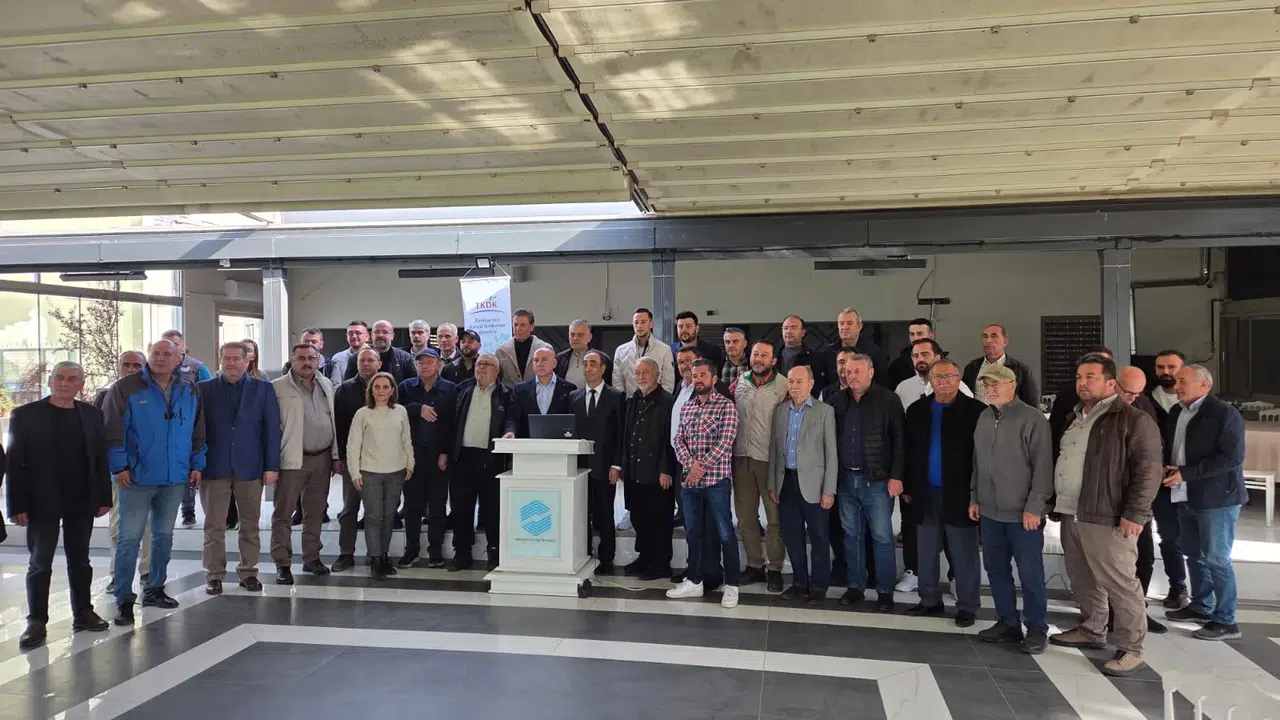 Zeytinyağı atıkları derelere akmaya devam ediyor