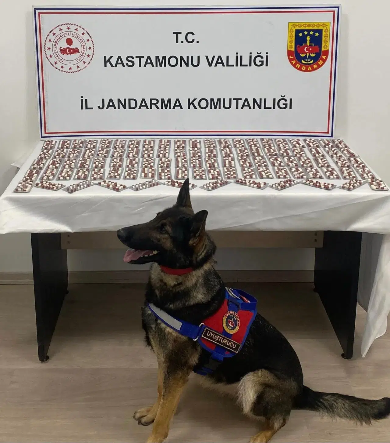 Jandarma uyuşturucu tacirine geçit vermedi