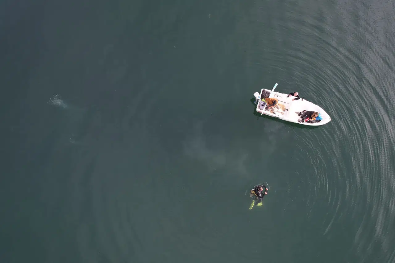 Sapanca Gölü'ndeki endişe veren kabarcıkların sırrı ne?