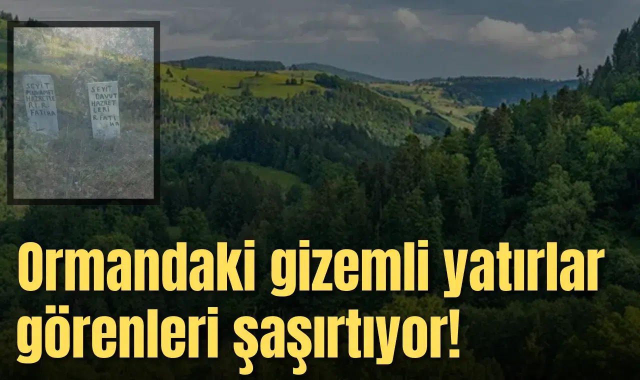 Ormandaki gizemli yatırlar görenleri şaşırtıyor!