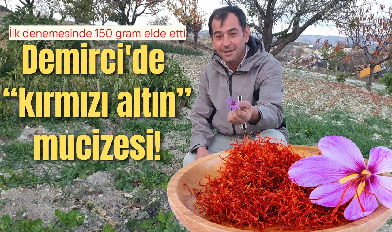 Demirci'de yetişmeyen çiçeği yetiştirdi