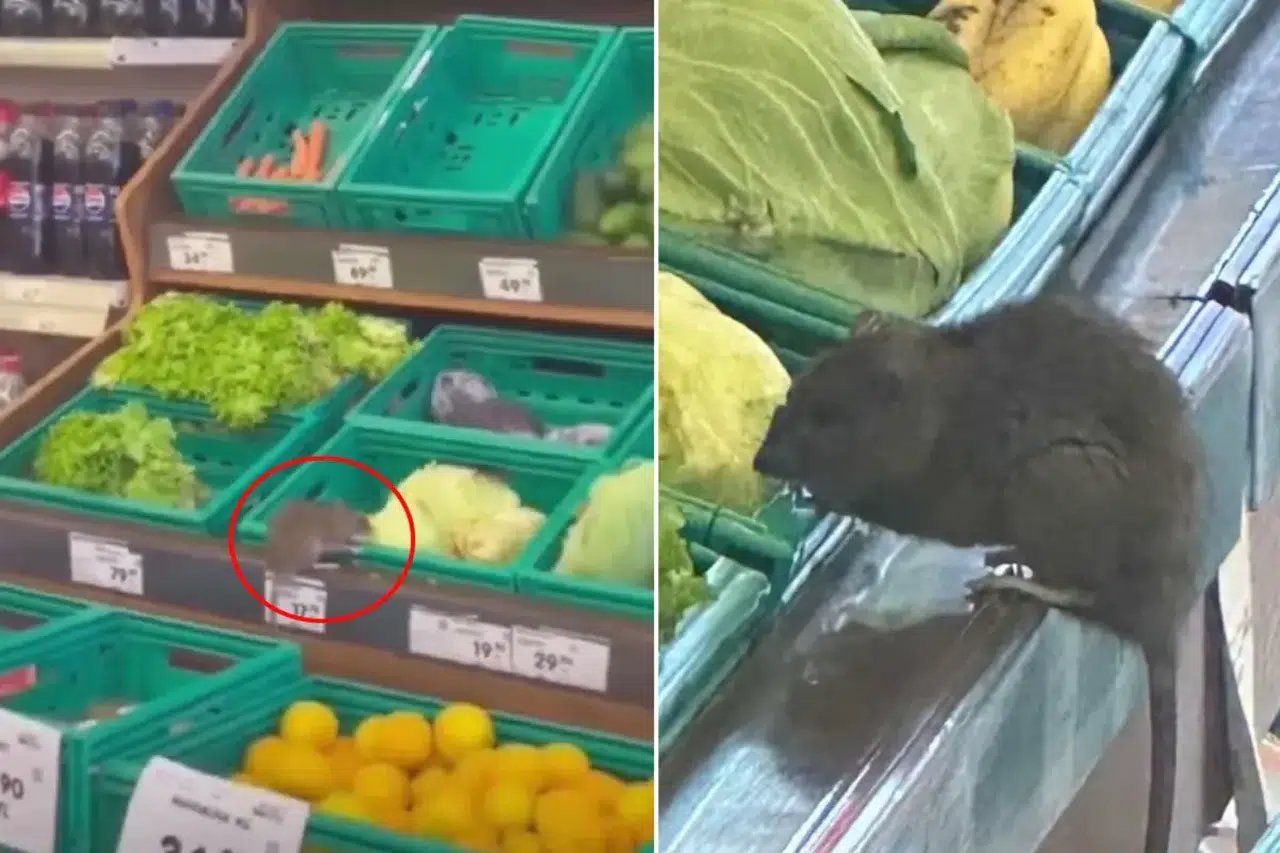 Zincir markette skandal