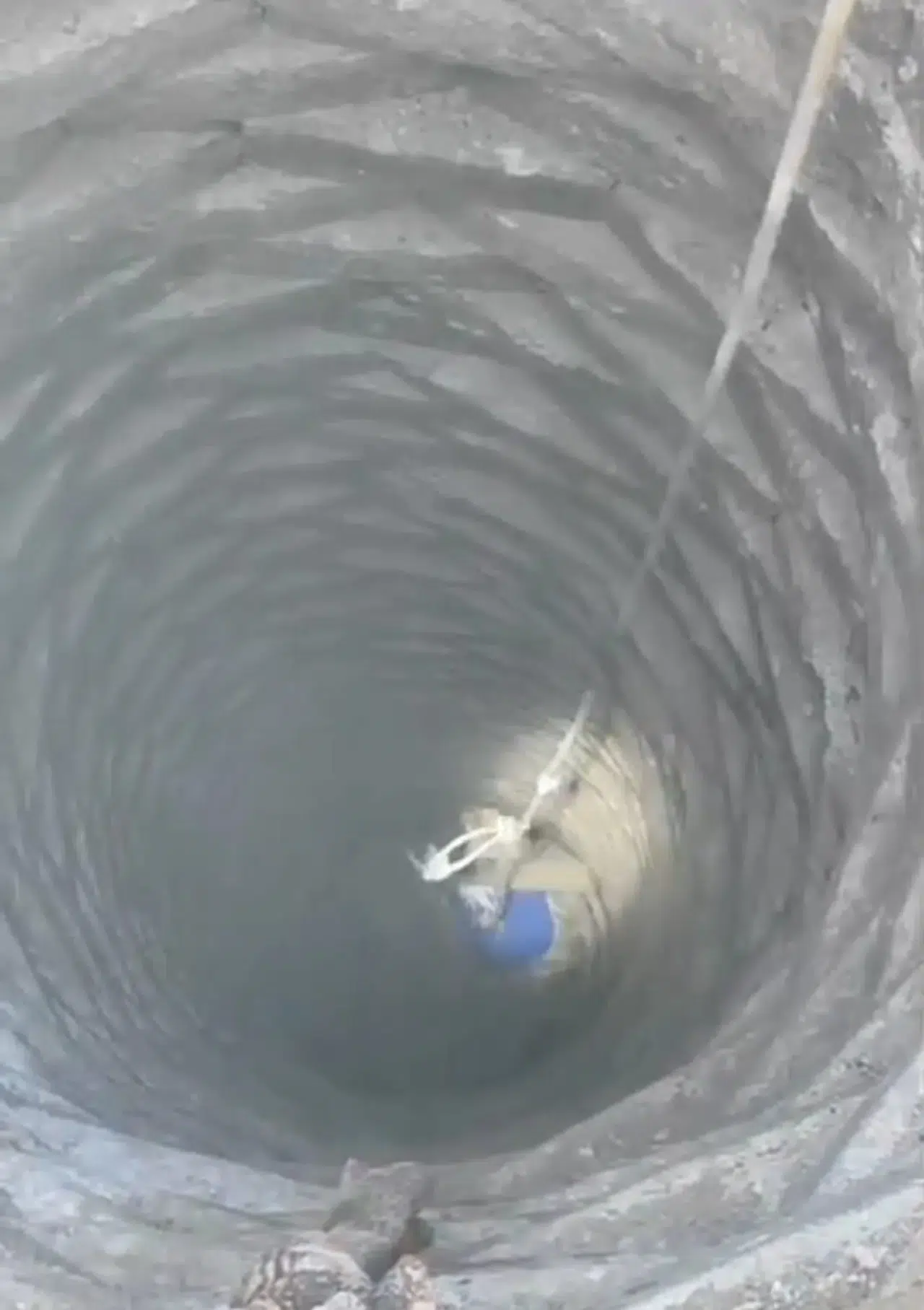 Kuyuya düşen horozu itfaiye kurtardı