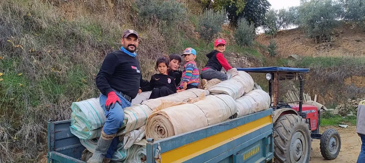 Bağ örtüleri toplanmaya başladı