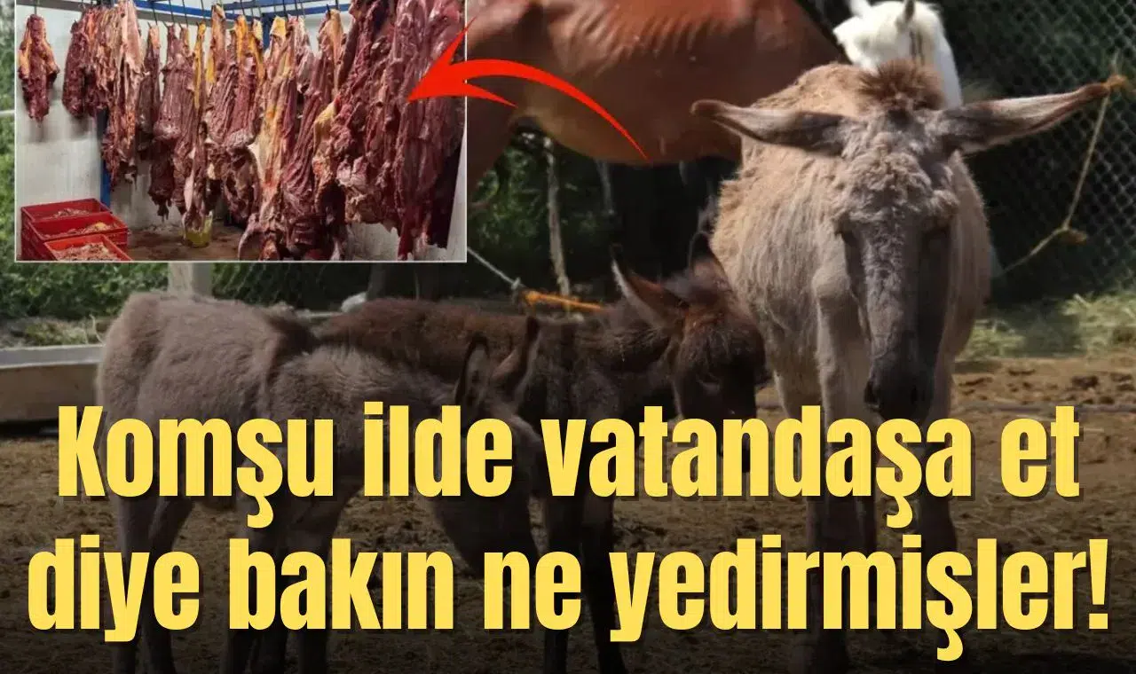 Komşu ilde vatandaşa et diye bakın ne yedirmişler!