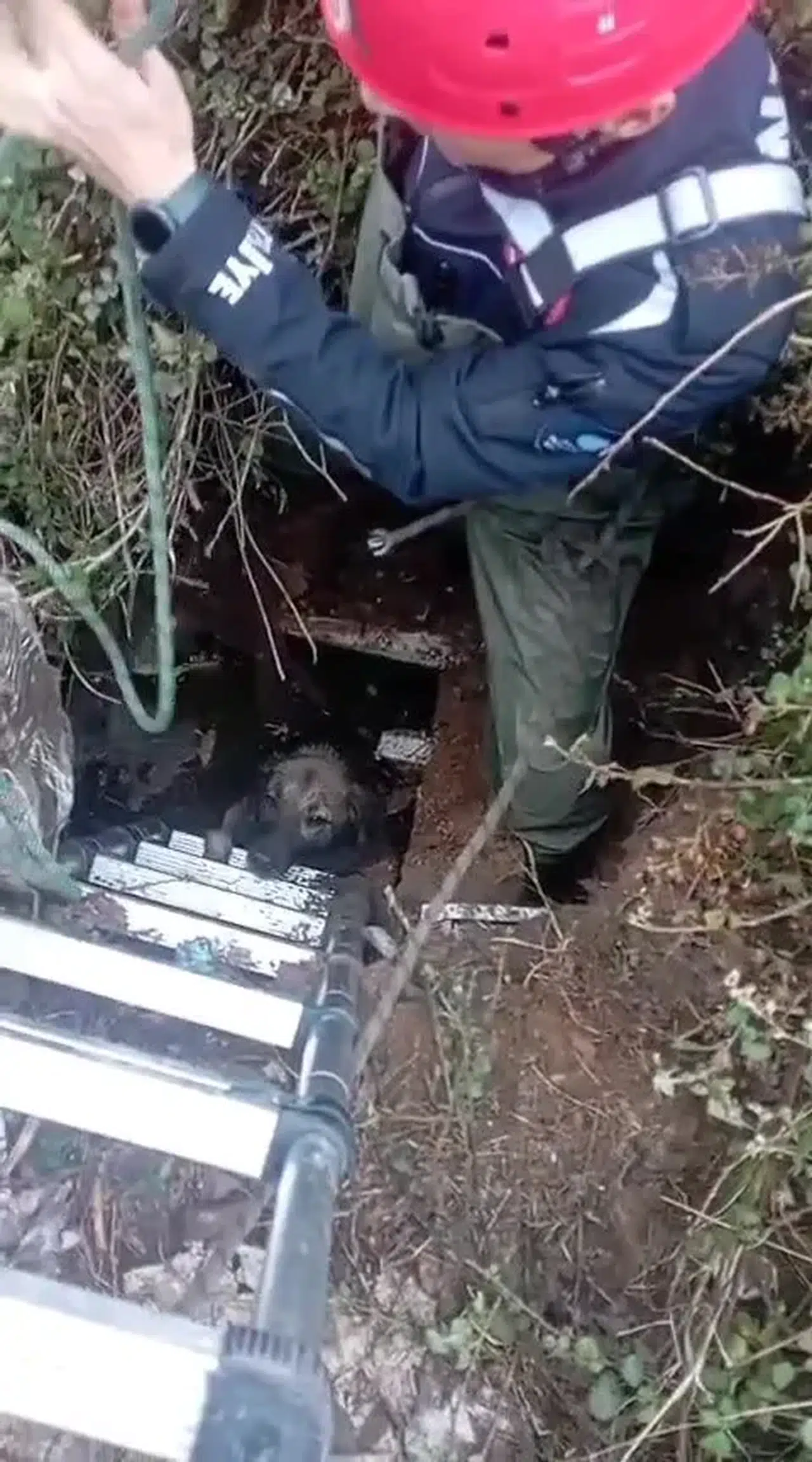 Foseptik çukuruna düştü, itfaiye tarafından kurtarıldı