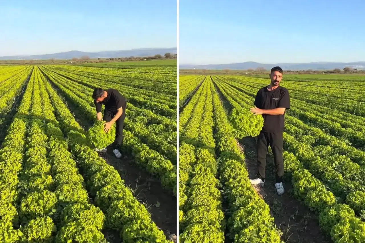 İzmirli çiftçinin isyanı pahalıya patladı