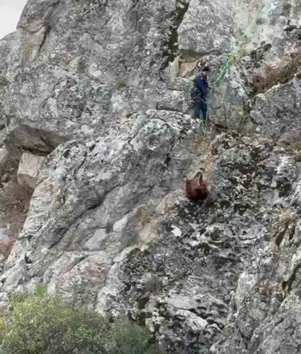 Dağda mahsur kalmışlardı, ekipler tarafından kurtarıldılar