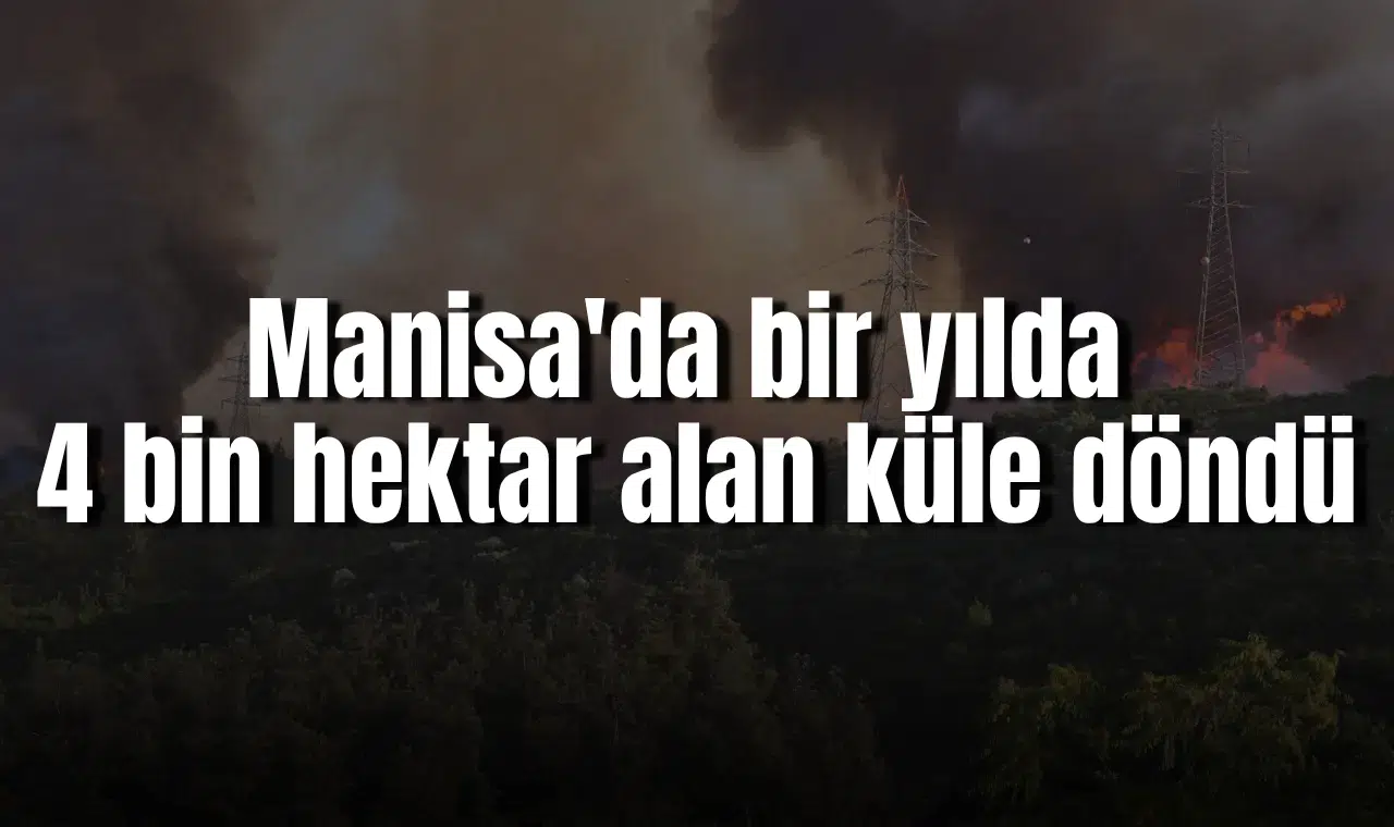 Manisa'da bir yılda 4 bin 562 hektar alan küle döndü