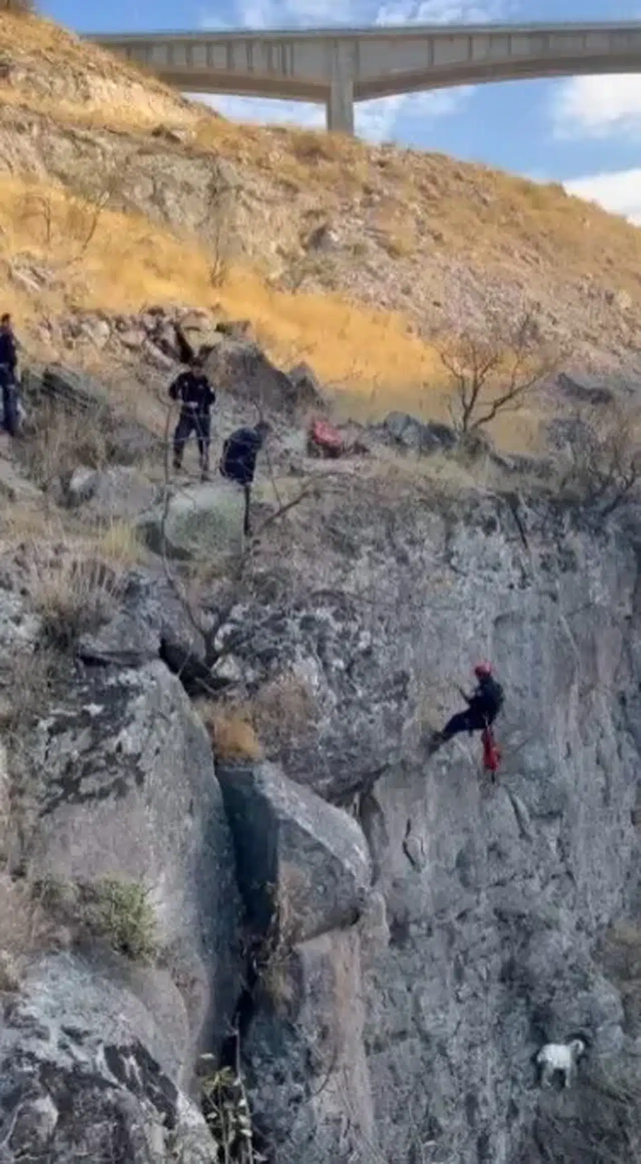 Uçurumda mahsur kalan keçinin imdadına itfaiye yetişti