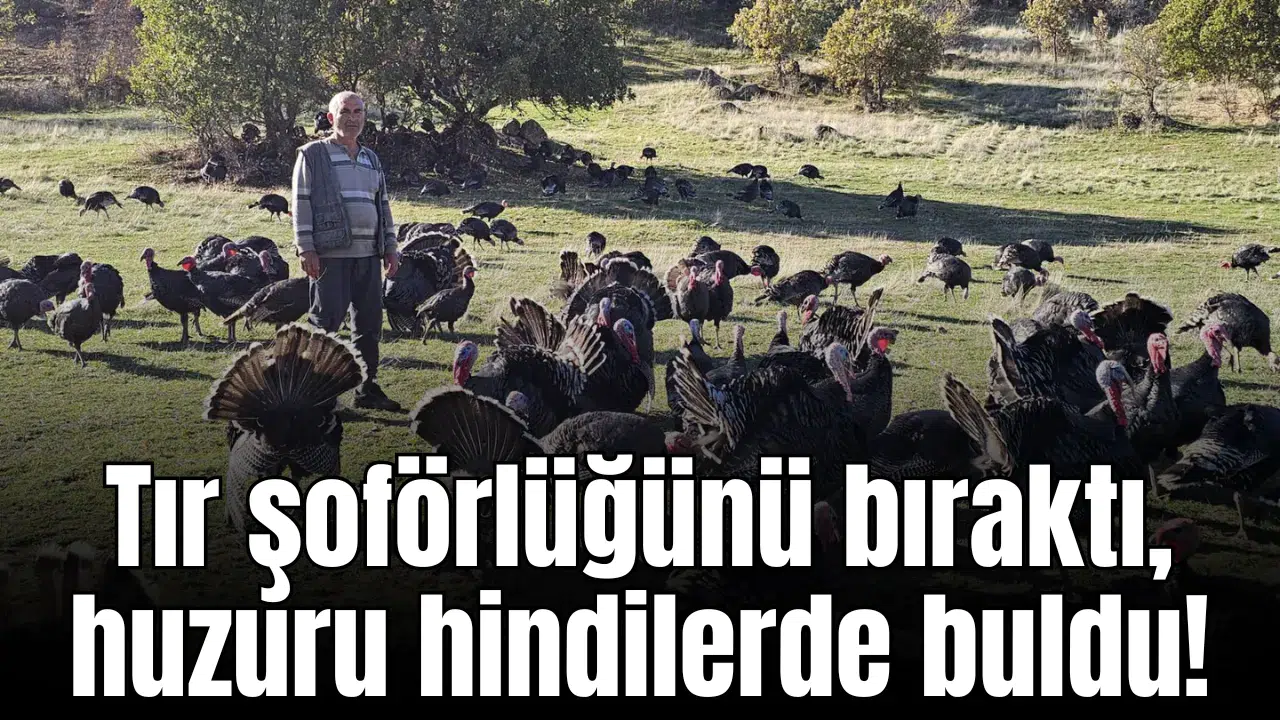 Tır şoförlüğünü bıraktı, huzuru hindilerde buldu!