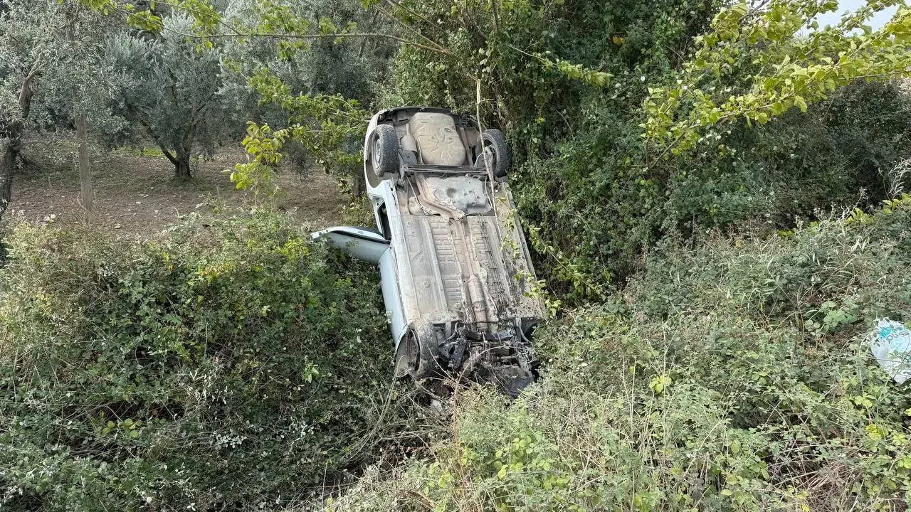 Kontrolden çıkan otomobil zeytinliğe uçtu