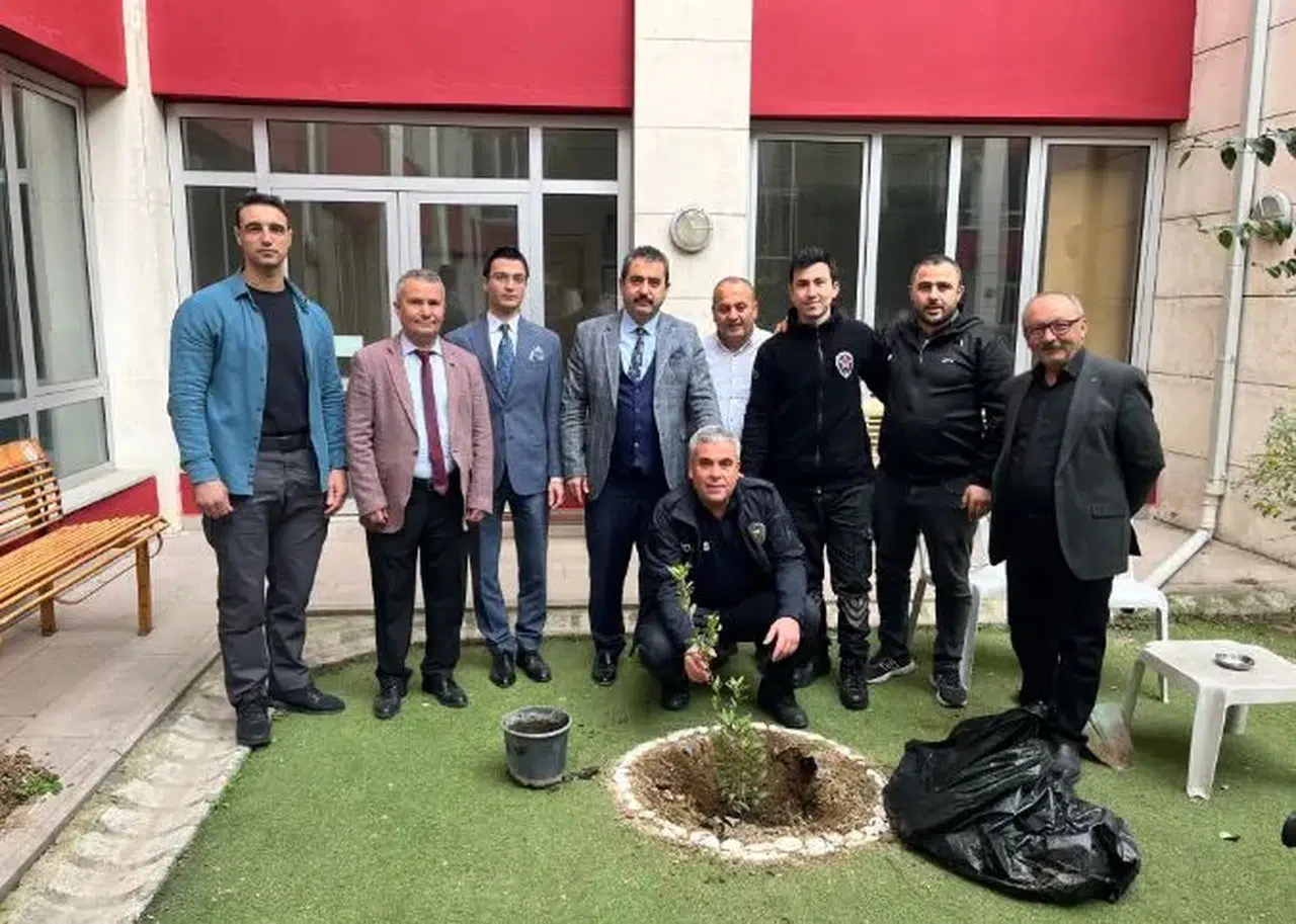 Adliye bahçesini ağaçlandırdılar