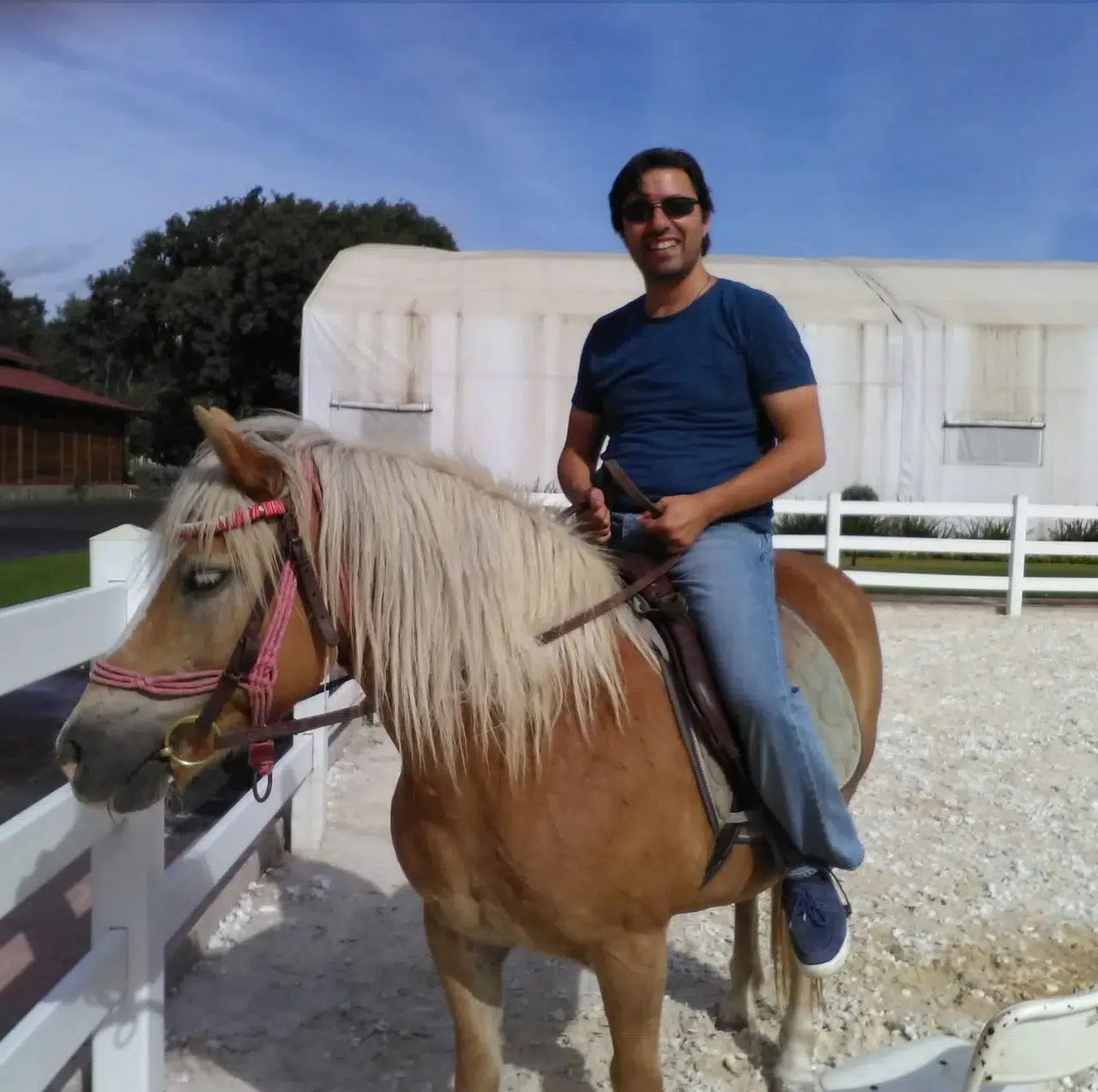 Genç mühendis evinde ölü bulundu