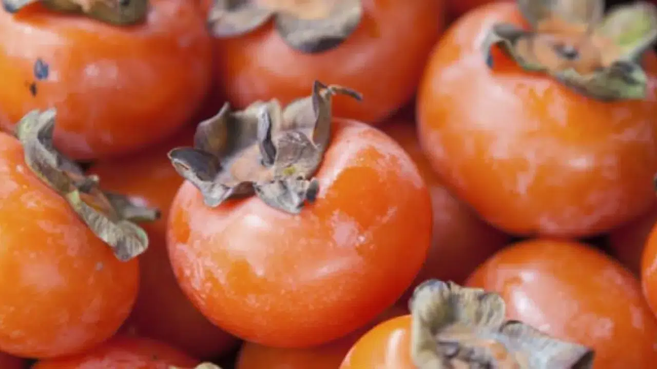 Cennet Hurması Neden Bu Kadar Çabuk Bozuluyor? İşte Tazeliğini Korumanın 5 Altın Kuralı!