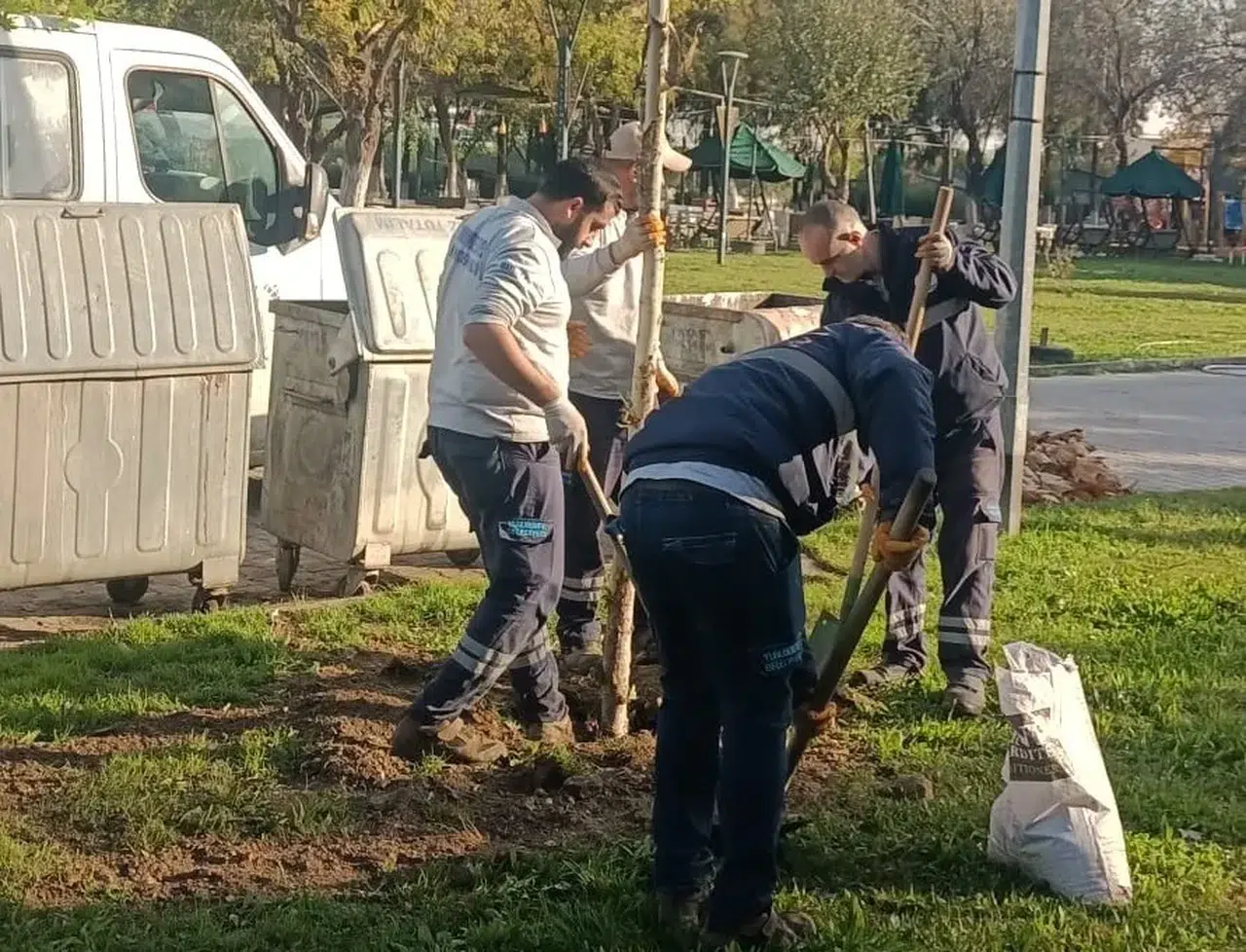 Yunusemre yeşile bürünüyor