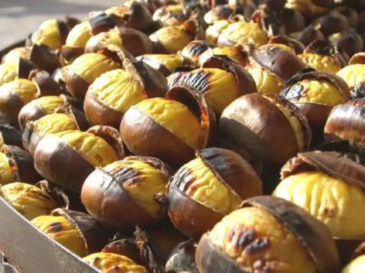 Tam Tutan Kestane Pişirme Yöntemleri: Fırından Airfryer’a Tüm Teknikler