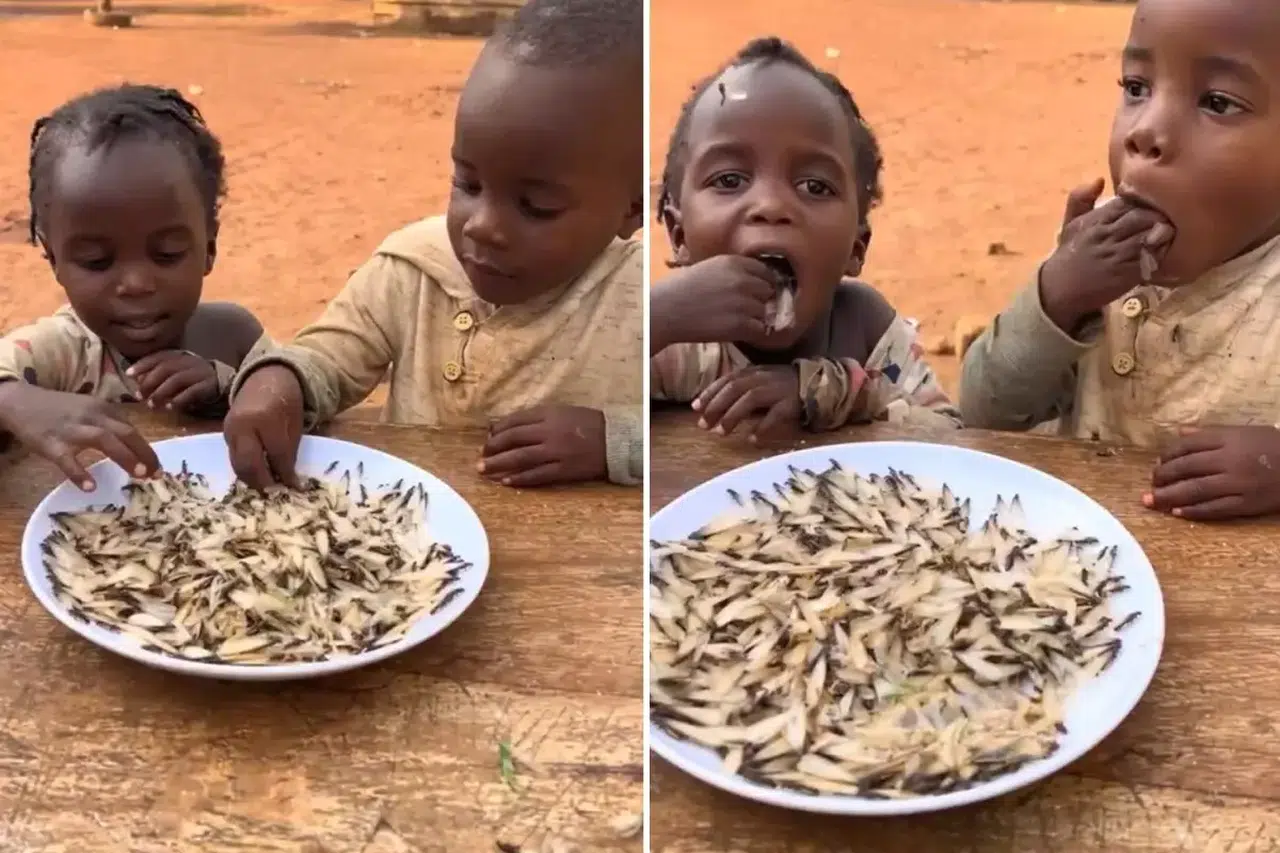 Yapay zeka değil gerçek! Yedikleri şeyi tahmin edemezsiniz