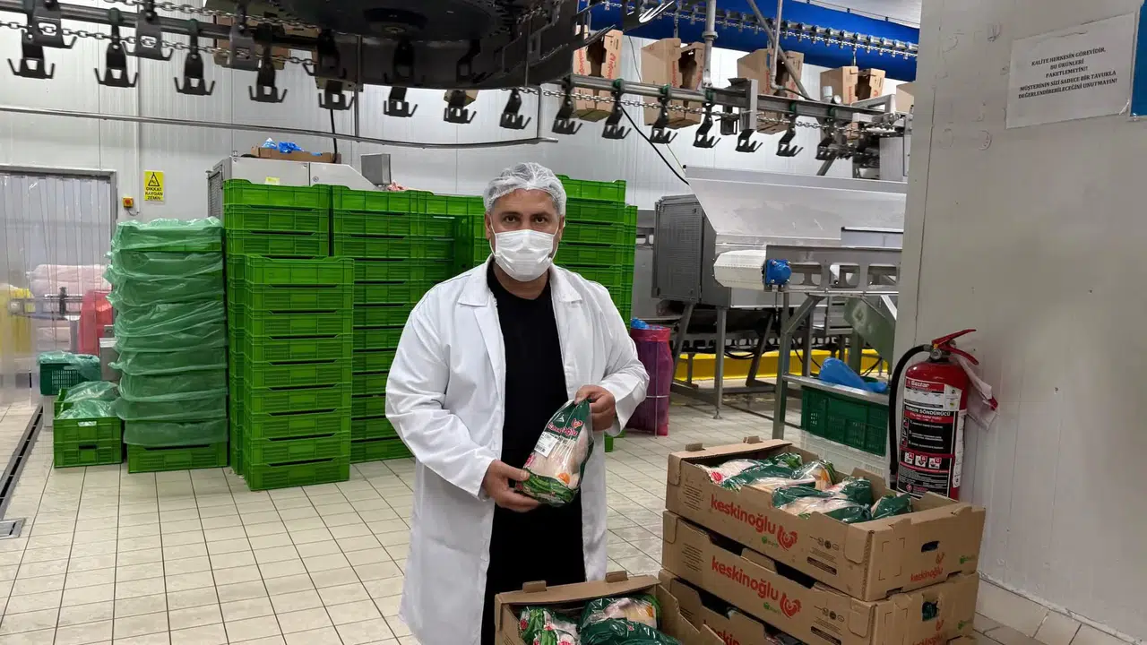 Manisa etlik tavuk yetiştiriciliğinde birinci sırada