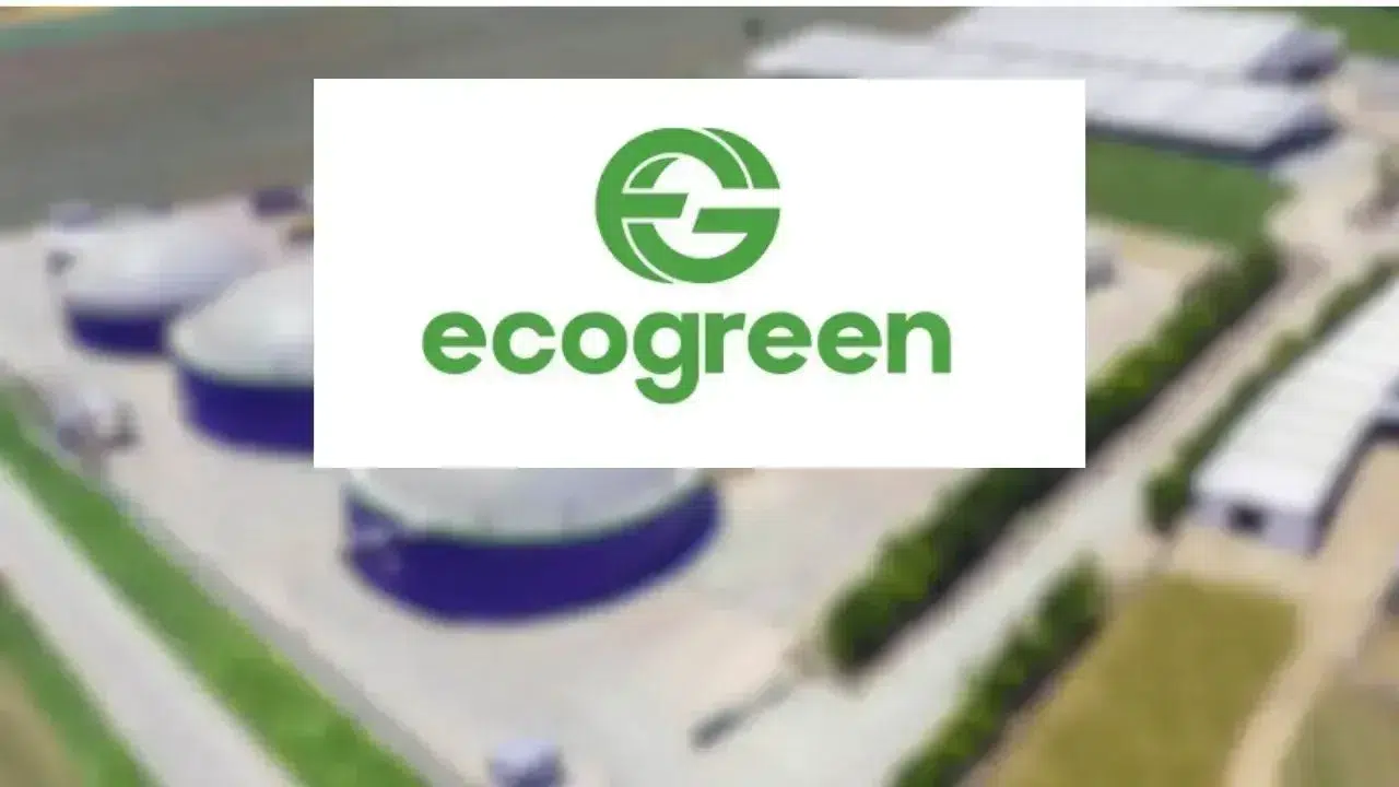 Son Halka Arz Ecogreen (ECOGR) Ne Zaman Borsada İşleme Başlayacak?